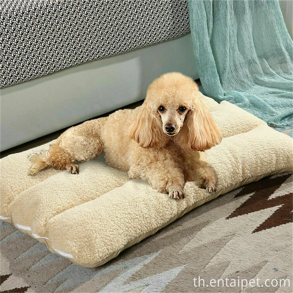 ที่นอนสัตว์เลี้ยงสุดหรูที่นอนหมอนหมอนหมอน